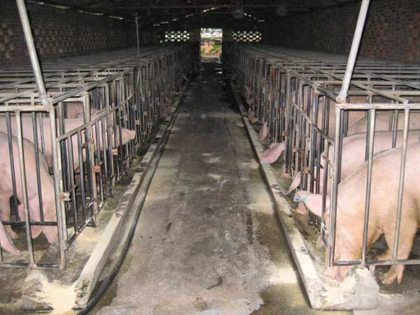 ����ʽ��늂��������ڱO��