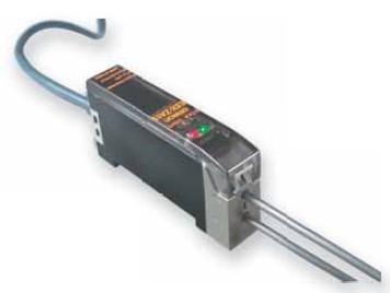 ����_�P������